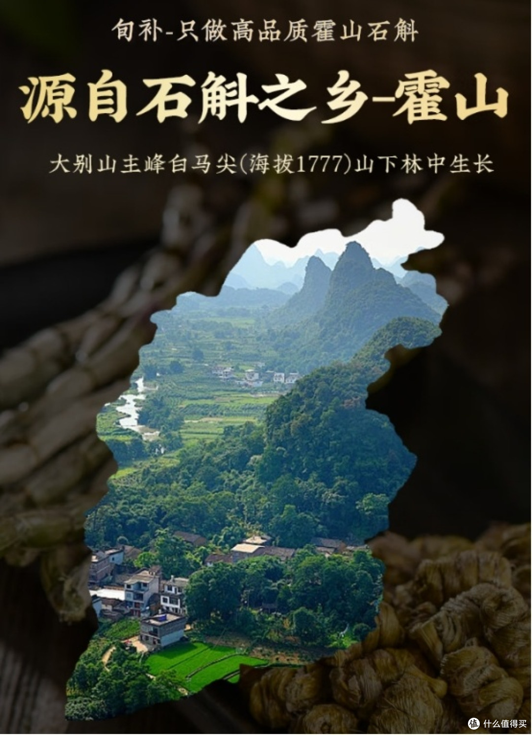 2026铁皮石斛榜单,十佳优质品牌,国民信赖滋补选