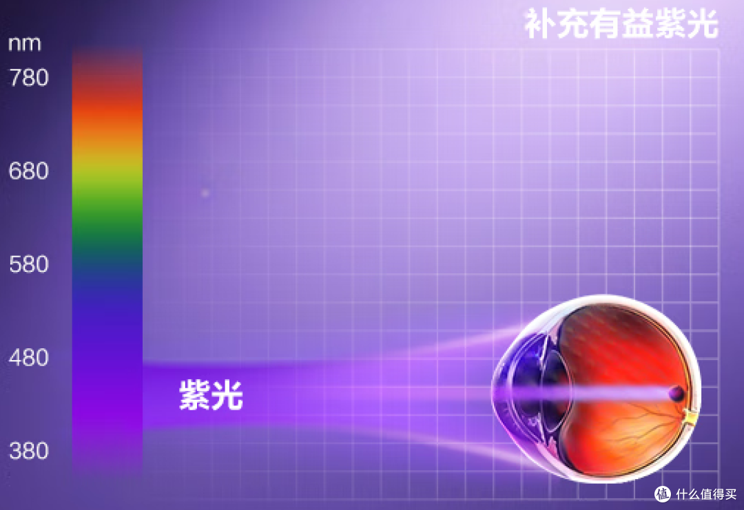 落地台灯怎么选?内行才知道的挑选技巧,家长必看避坑干货
