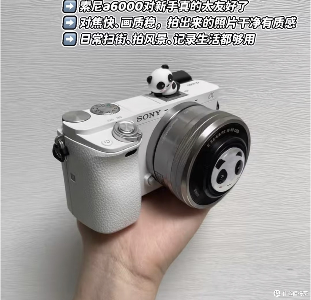 索尼a6000:新手摄影性价比之选