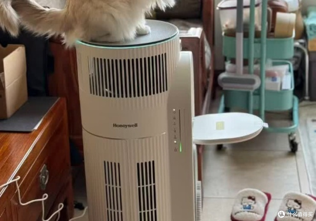 宠物空气净化器换季看谁靠谱!十大排名解析吸猫毛哪个牌子好?