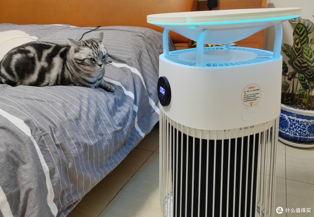 宠物空气净化器换季看谁靠谱!十大排名解析吸猫毛哪个牌子好?