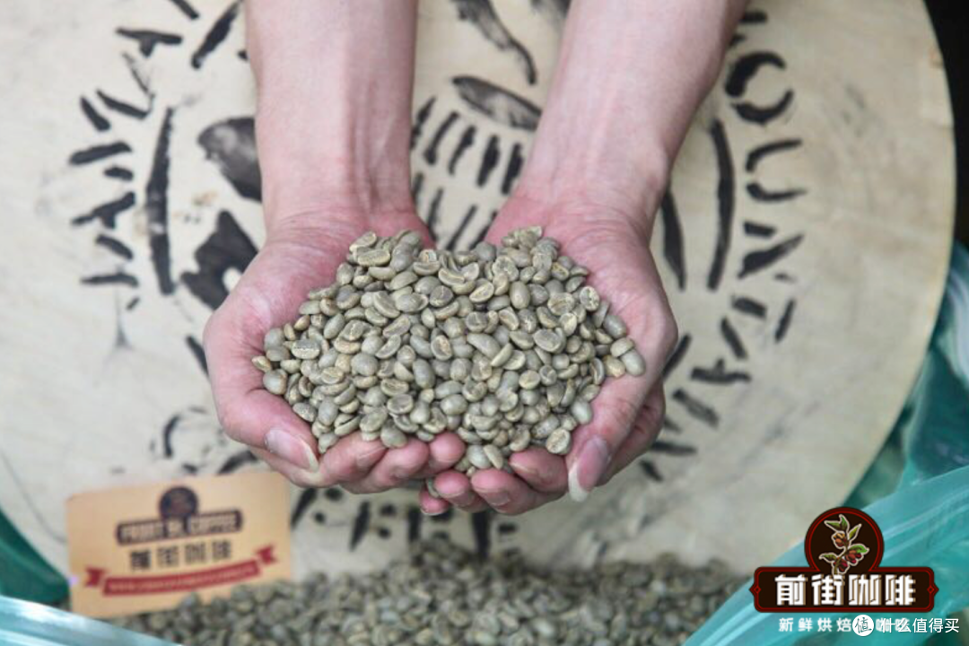 蓝山咖啡豆真的值得买吗？牙买加蓝山一号风味、等级和冲煮建议