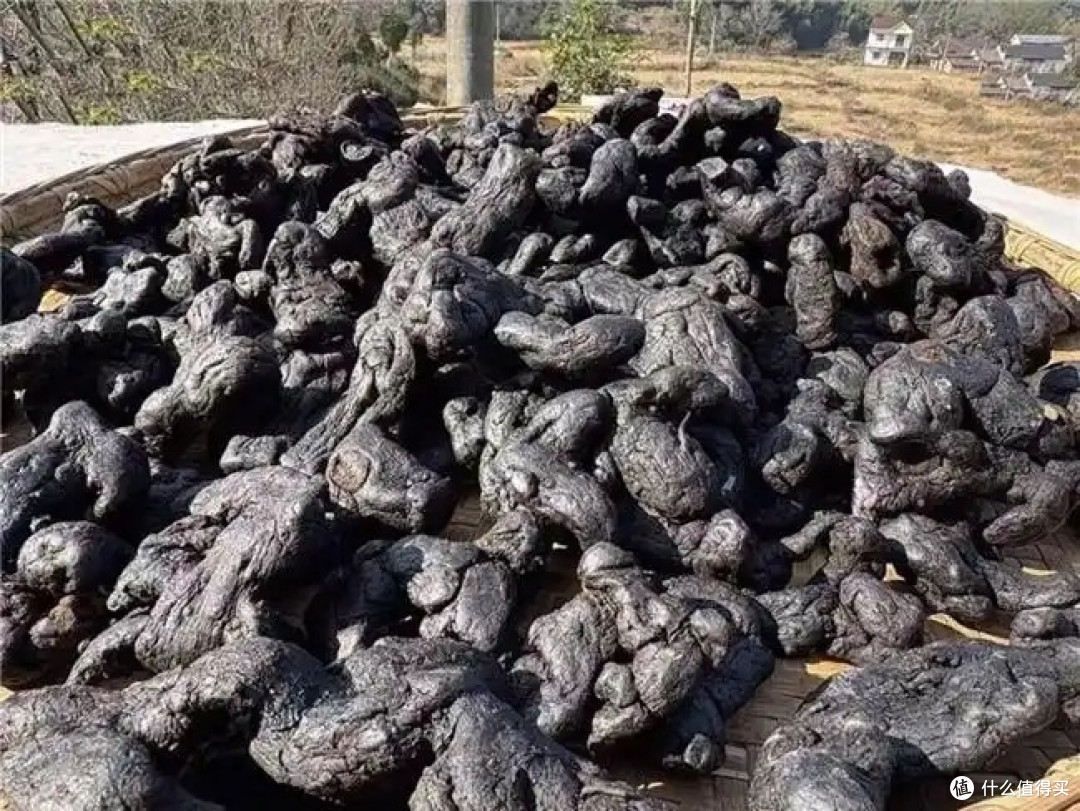 黄精哪里产的好?解析4个道地产区,2026高性价比品牌建议!