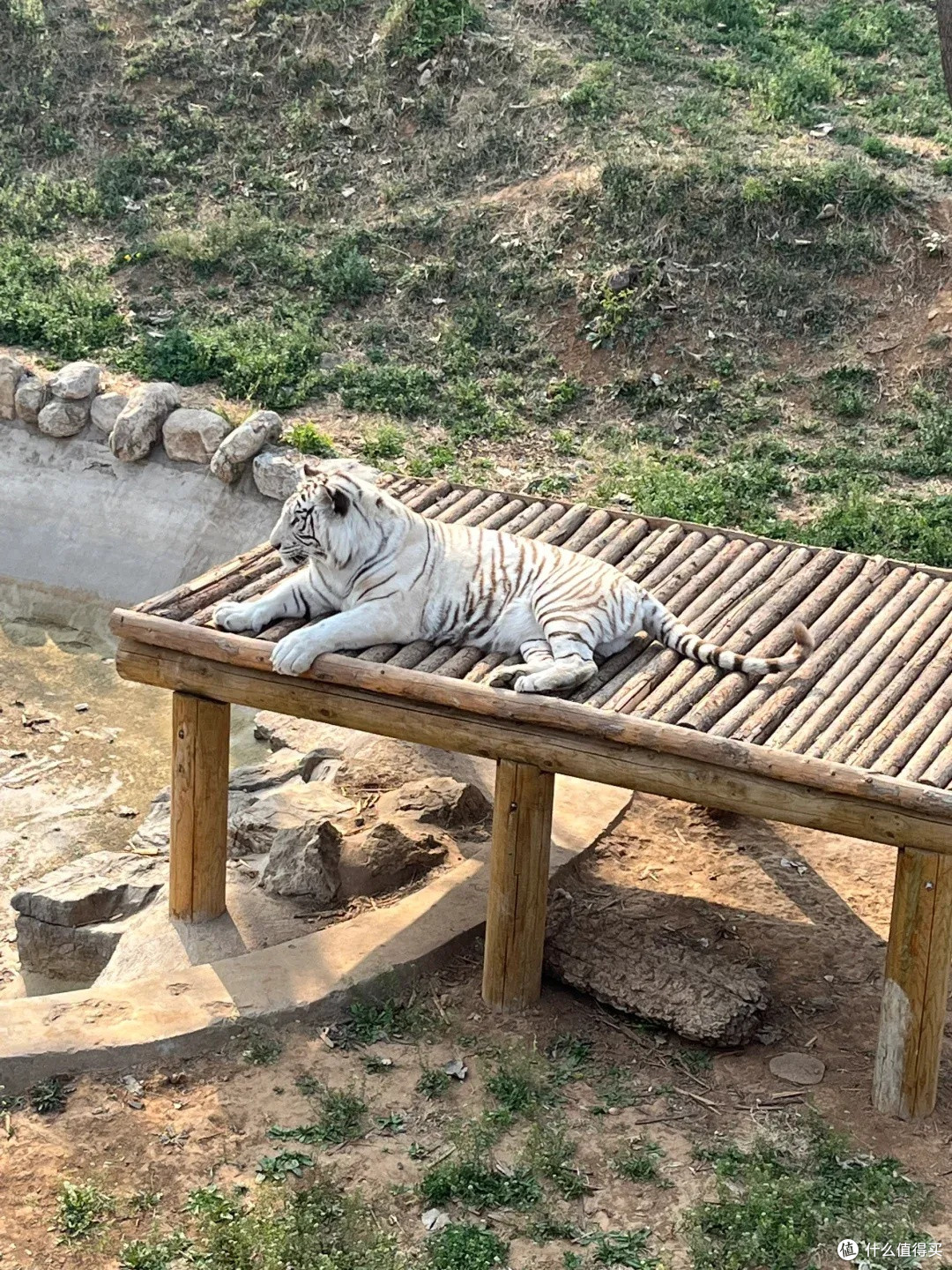 石家庄动物园：亲子遛娃宝地