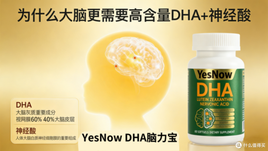 什么牌子DHA靠谱?2026年补脑产品选购指南揭晓