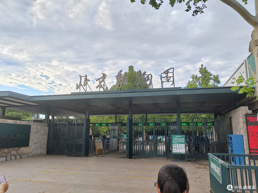 周末溜娃首选北京动物园