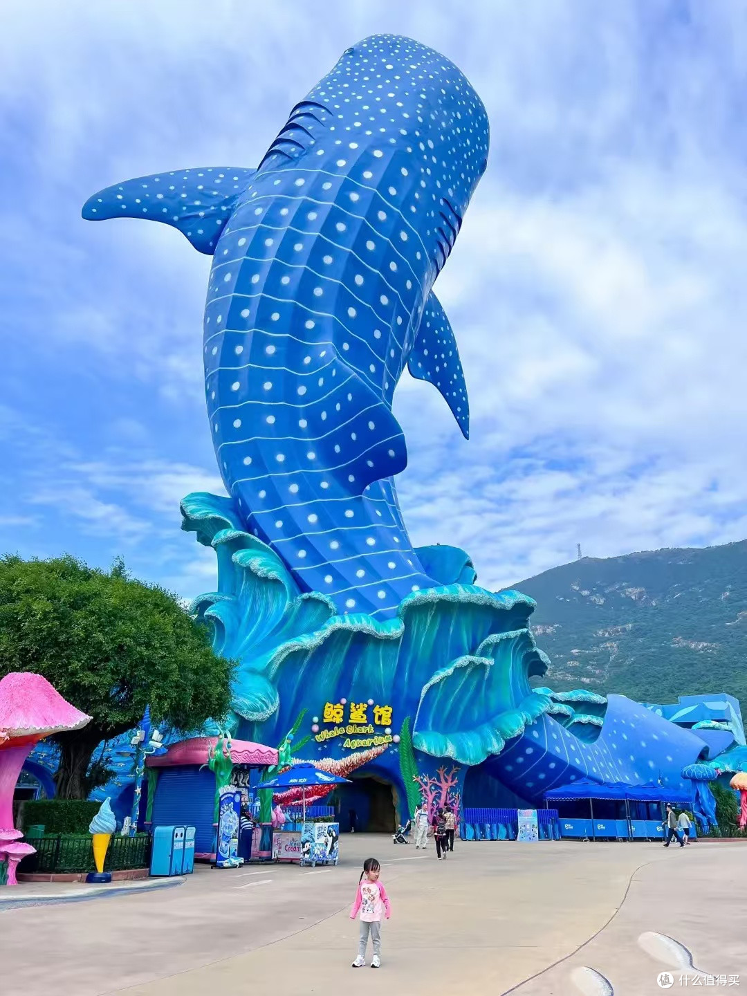 亲子游的意外惊喜：慢节奏下的海洋童话