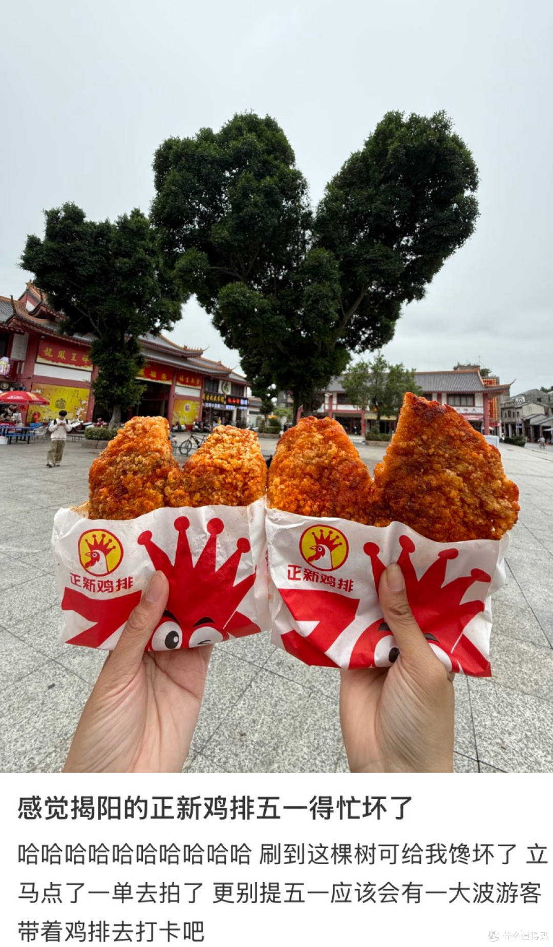 揭阳鸡排树:从失误到网红