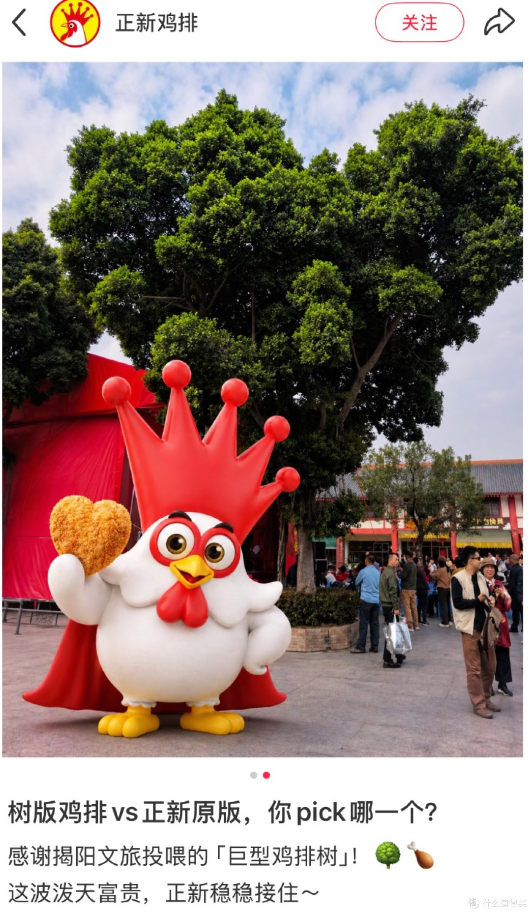 揭阳鸡排树:从失误到网红