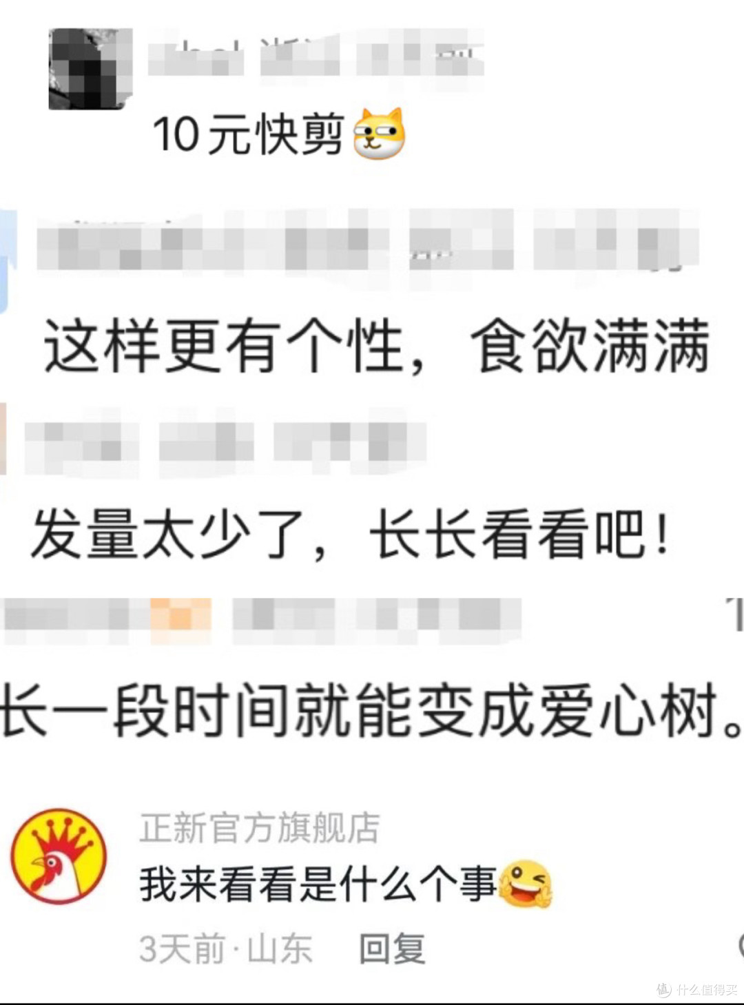 揭阳鸡排树:从失误到网红