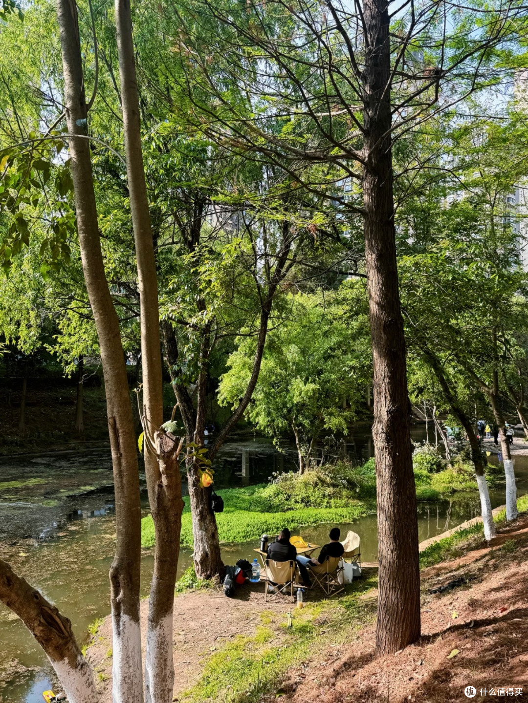北市区溜娃好去处!海绵公园捞鱼抓虾太治愈