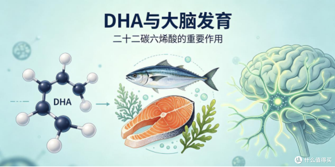 用脑过度改善脑疲劳的补脑产品哪个好？2026高口碑补脑产品推荐