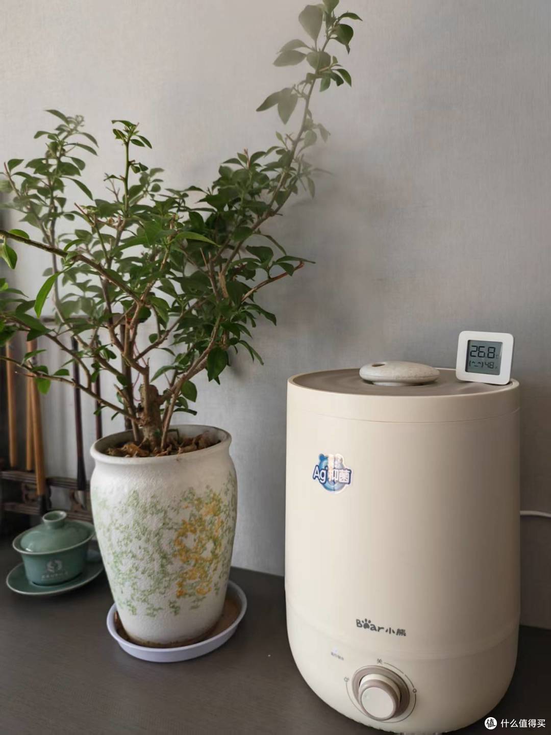 把小小的湿润“搬进来”,小熊JSQ-C45U1加湿器实测到底值不值?