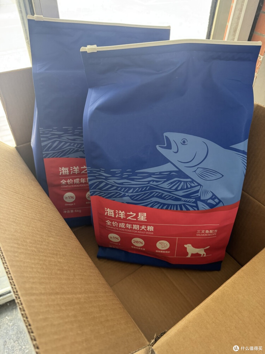 试吃装到大包装,海洋之星性价比拉满