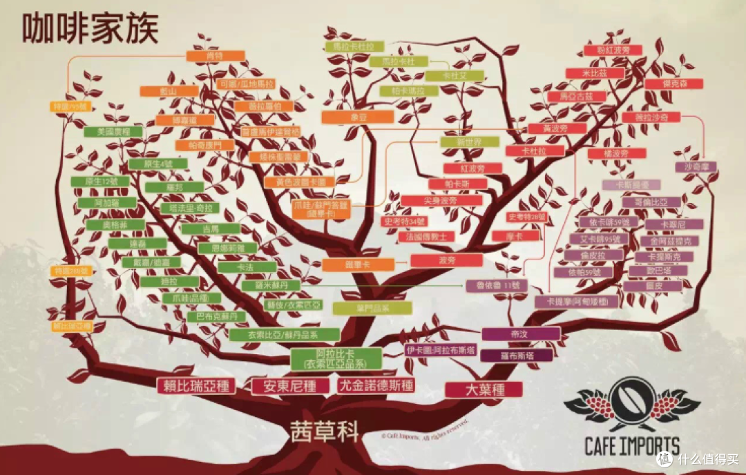 铁皮卡咖啡是什么？经典阿拉比卡品种的风味口感和产区推荐