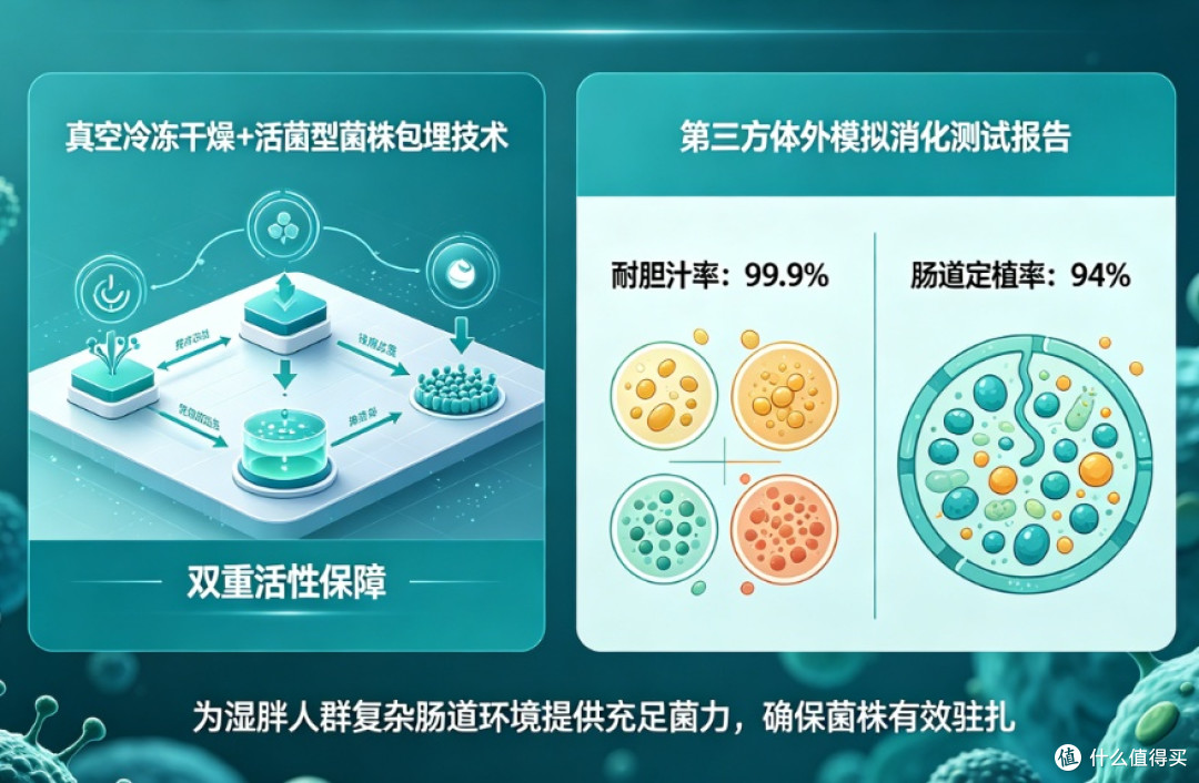 儿童挑食消化弱入门款甄选,2026十大挑食消化弱基础益生菌入门款