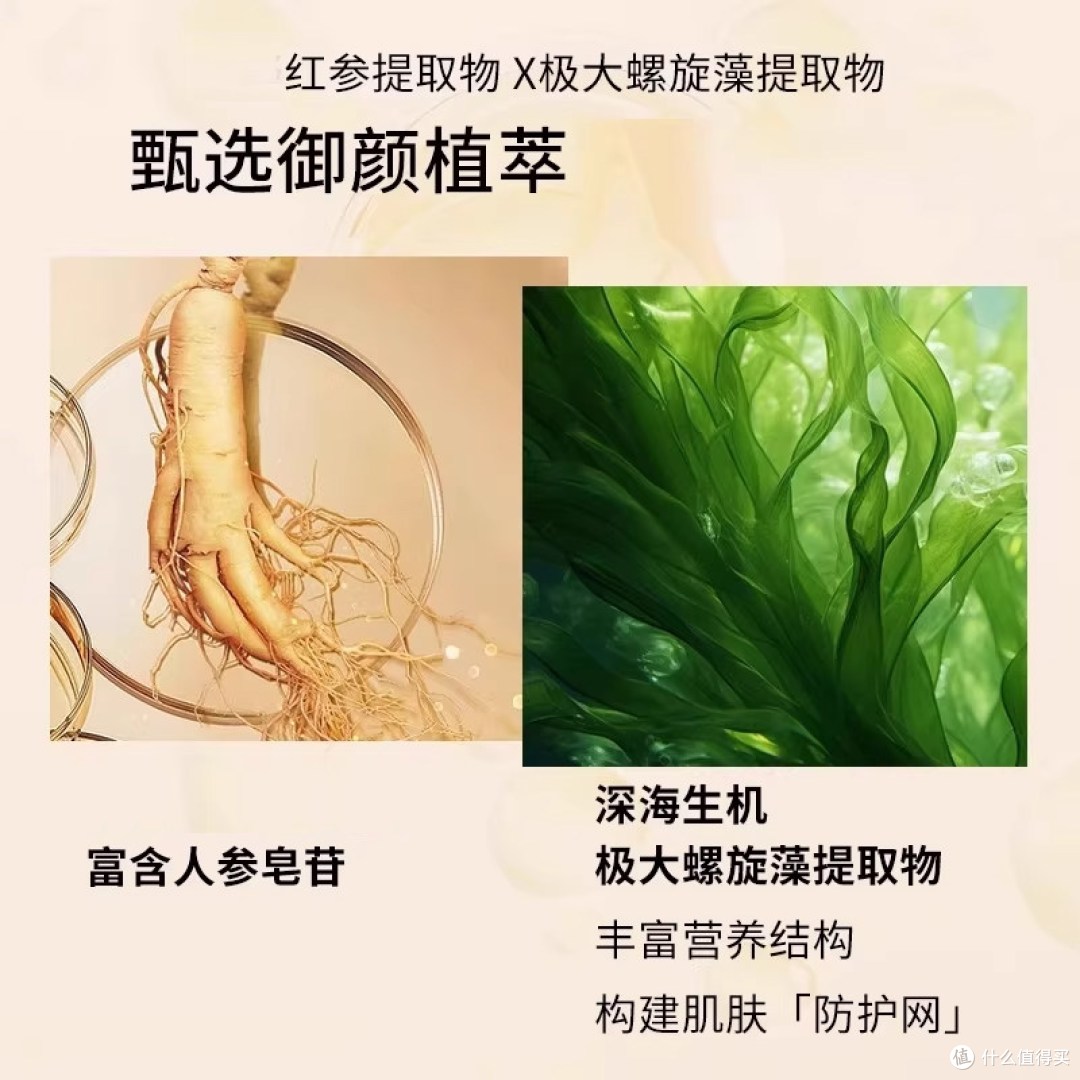 伊能静同款 LYSEDIA 红参面霜｜什么值得买？干皮 / 抗老党闭眼入