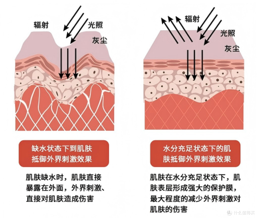立夏护肤指南:从评估到搭配,让肌肤清爽一整夏
