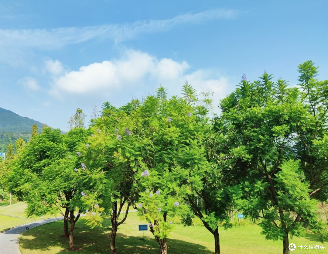 城市近郊亲子农场遛娃指南