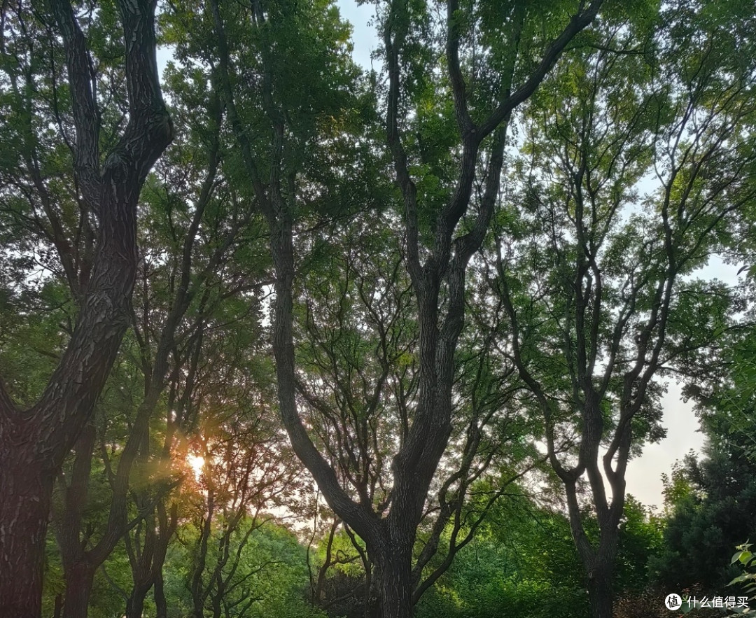 日常小改变，健康大升级