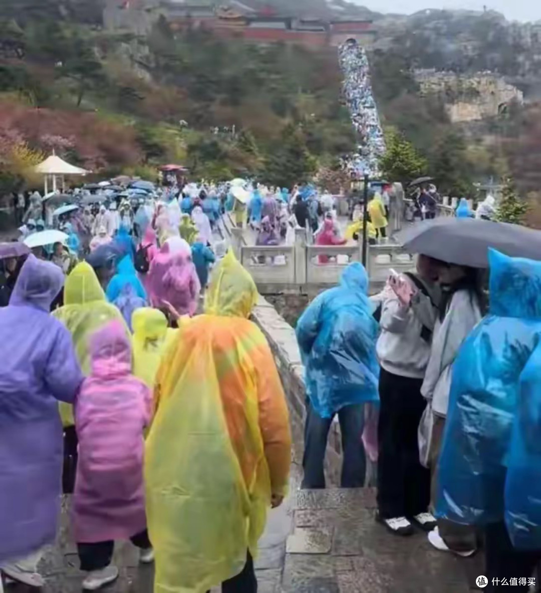 泰山游客遭遇五一冷雨,“穷游党”挤爆厕所勉强入睡!度假变渡劫