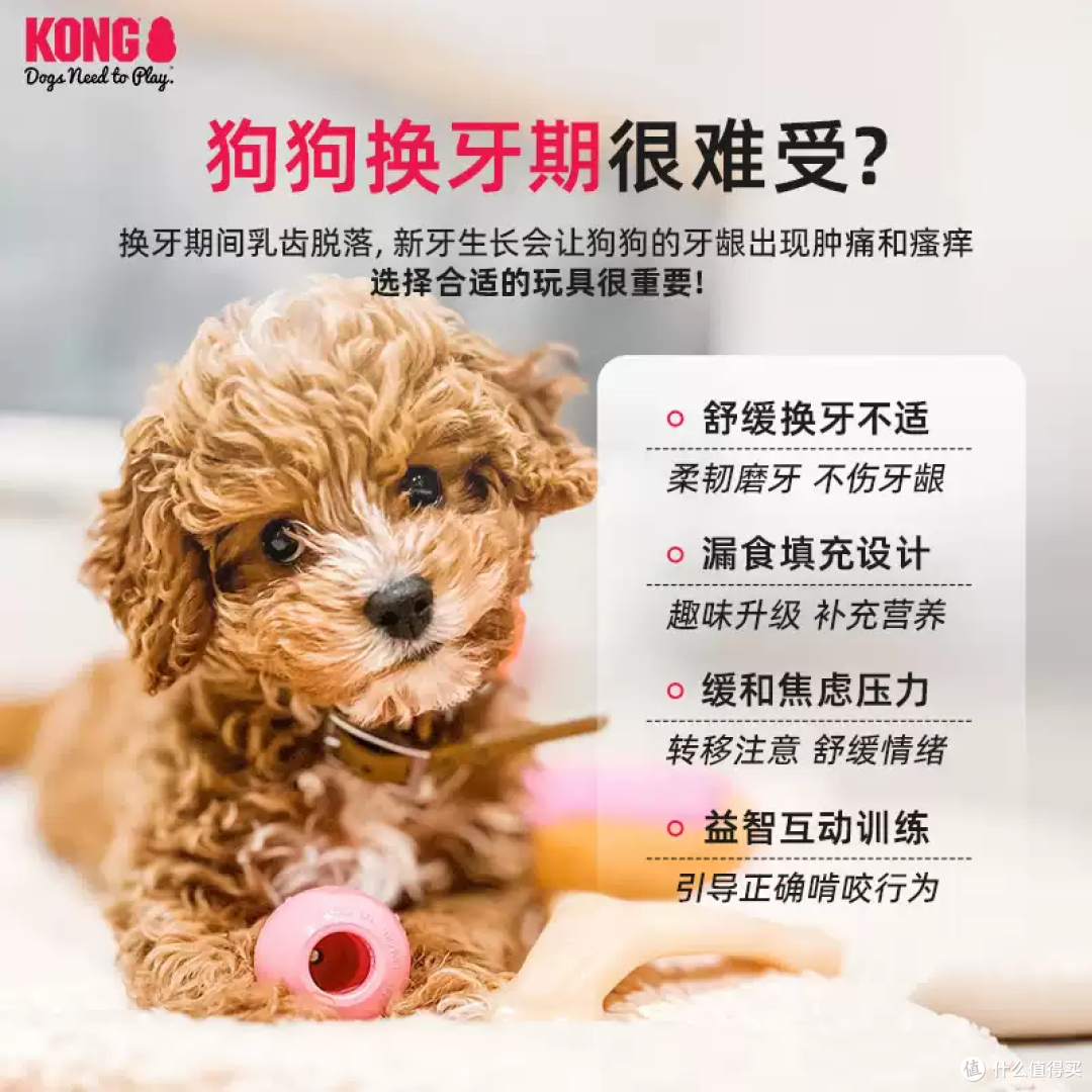 KONG幼犬漏食葫芦！磨牙解闷神器，让小狗自己玩到累瘫