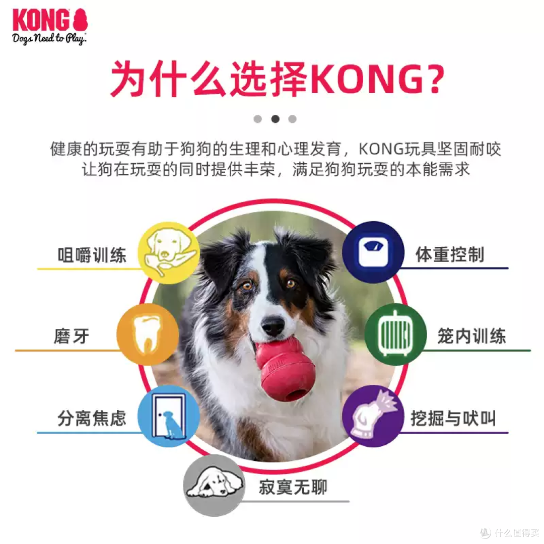 KONG幼犬漏食葫芦！磨牙解闷神器，让小狗自己玩到累瘫