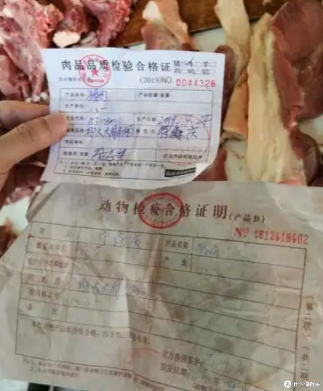 为什么猪肉有些盖红章?有些盖蓝章?终于有答案了!