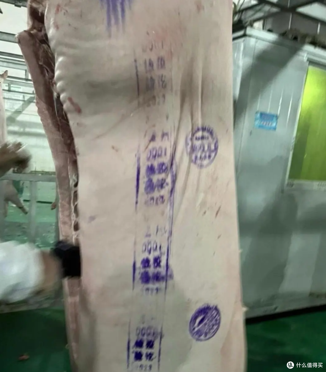 为什么猪肉有些盖红章?有些盖蓝章?终于有答案了!