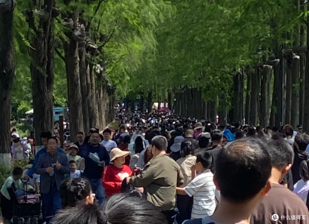 2026年五一“堵王”封神榜:十大最堵景点,你都去了哪里?
