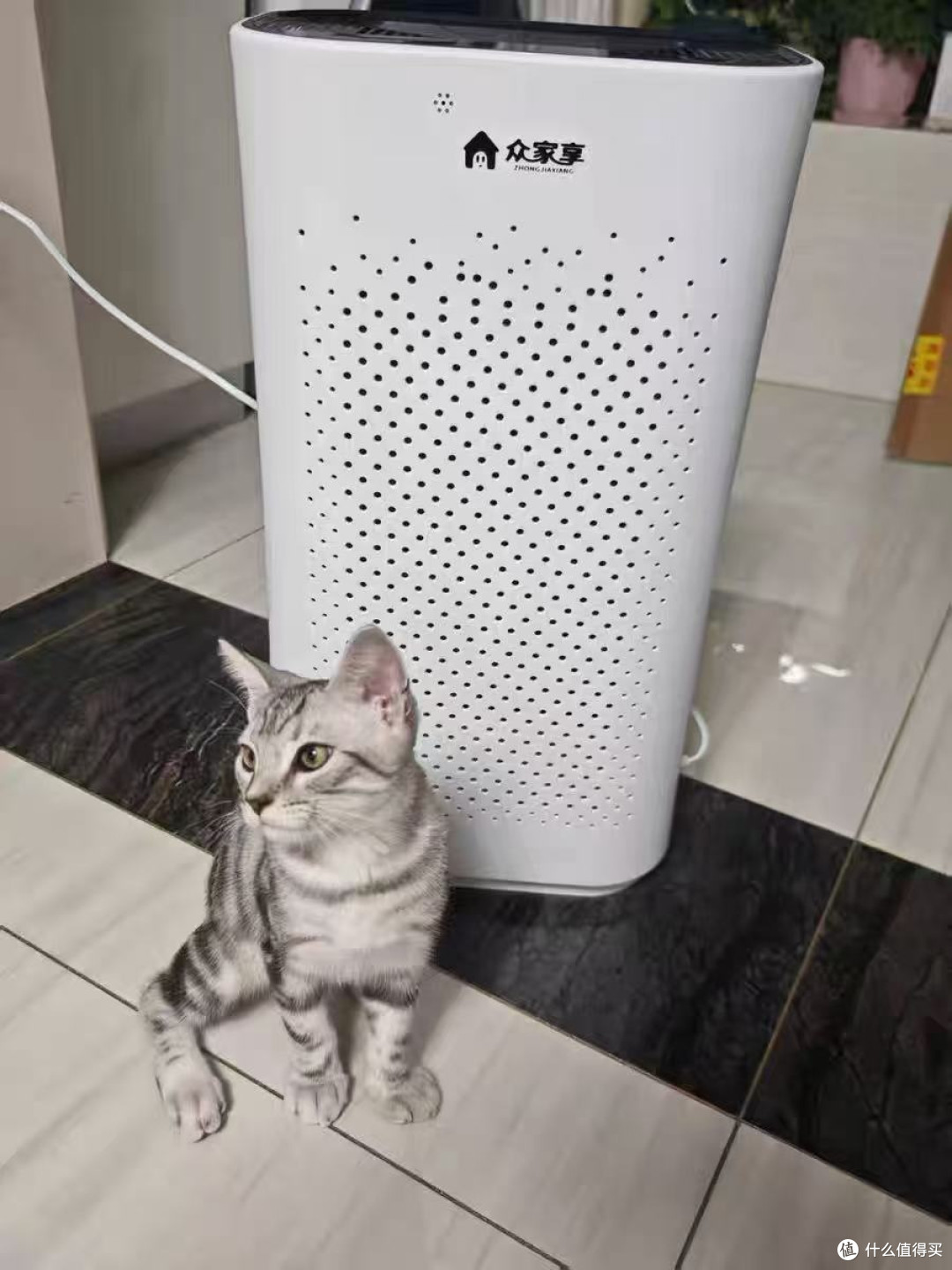 养猫人的救星!终于告别"猫毛拌饭"的日子了