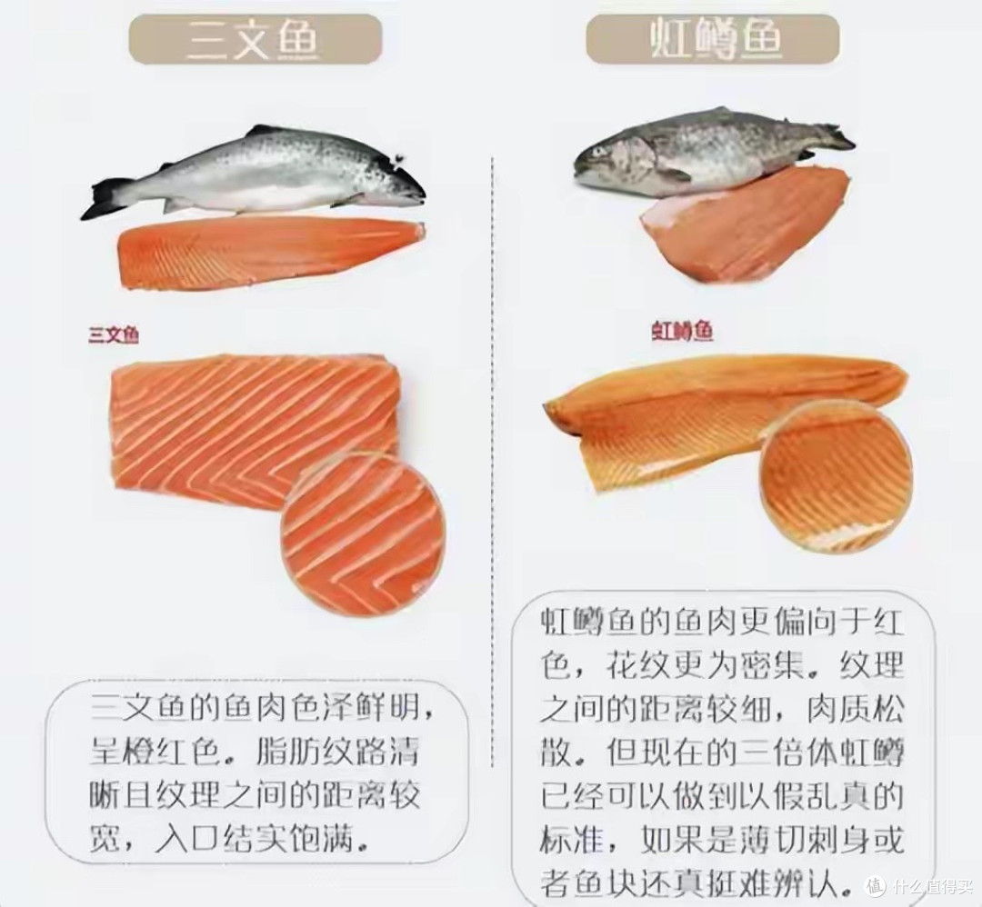 是谁把虹鳟强行划入三文鱼?背后的核心问题大多数人都理解错了