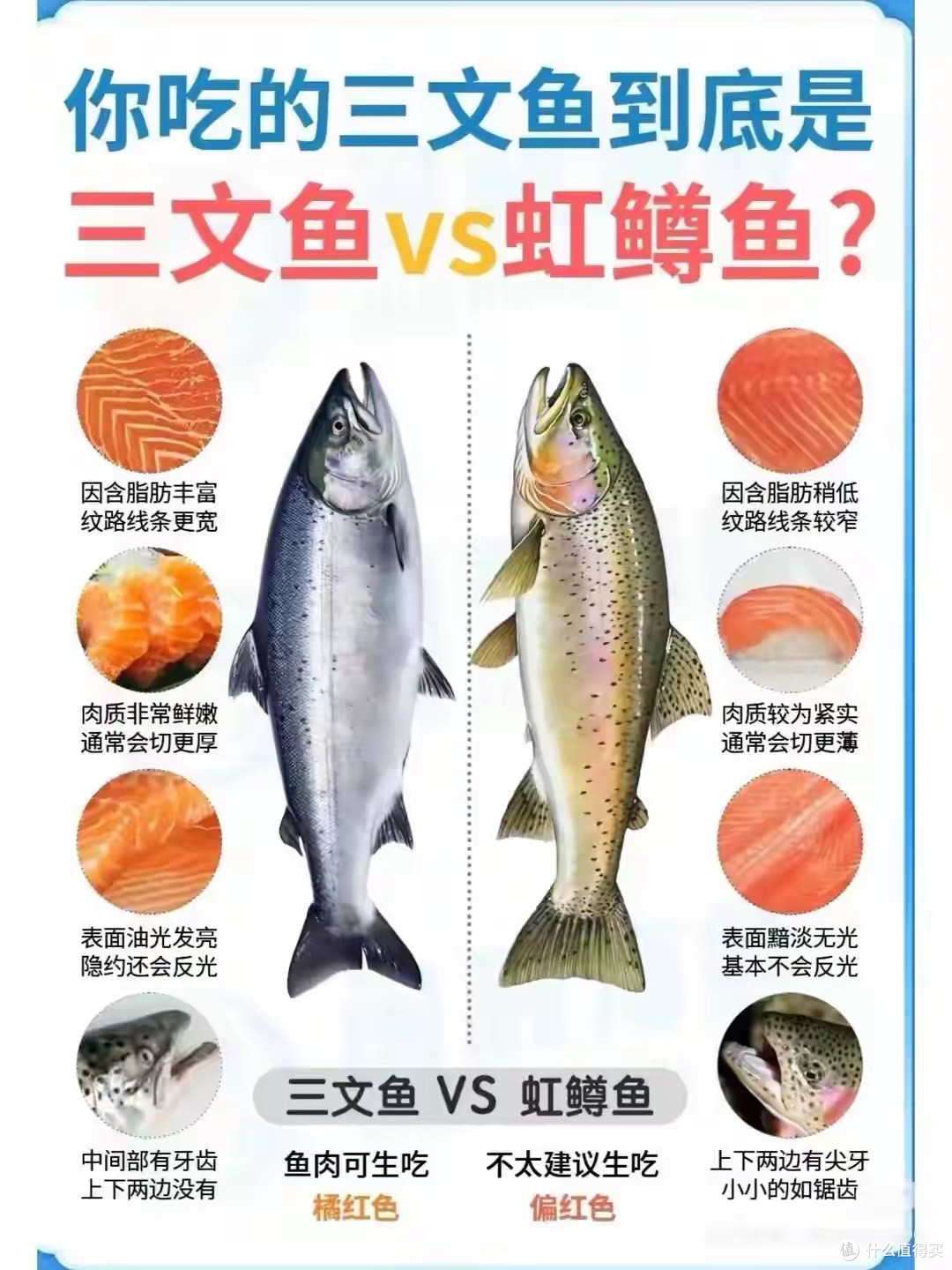 是谁把虹鳟强行划入三文鱼?背后的核心问题大多数人都理解错了