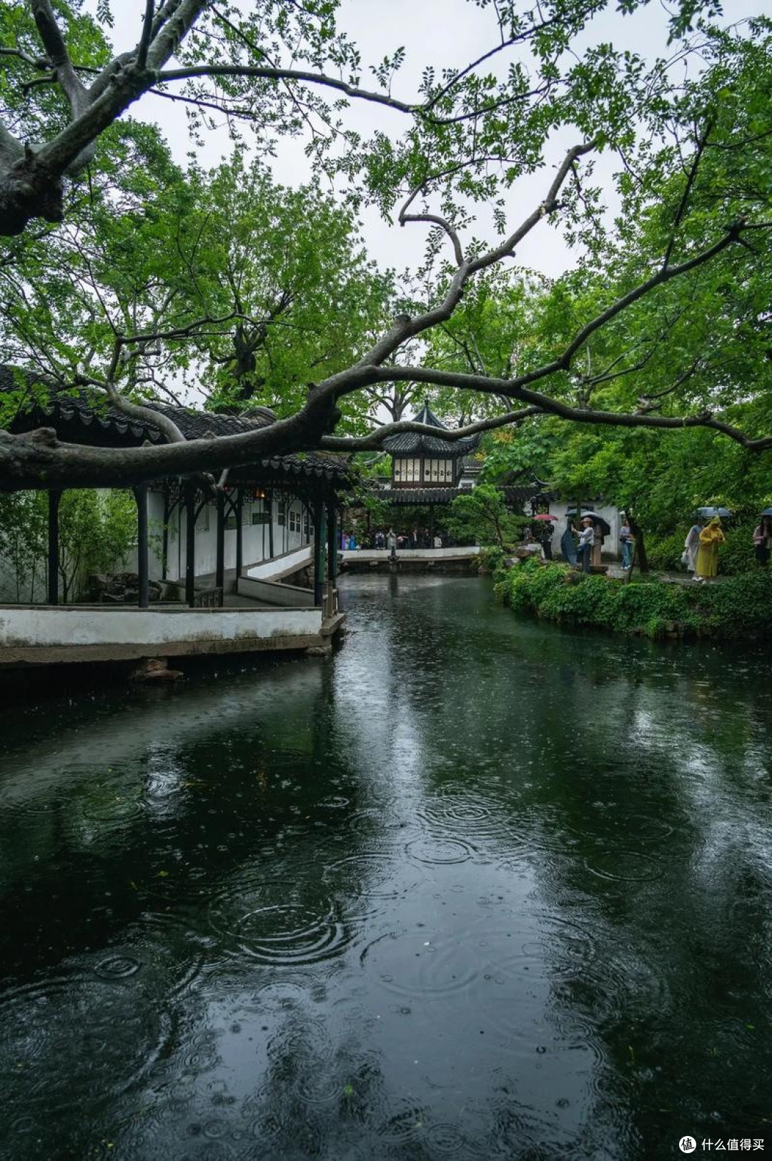 拙政园，明代园林精华游，太美啦！