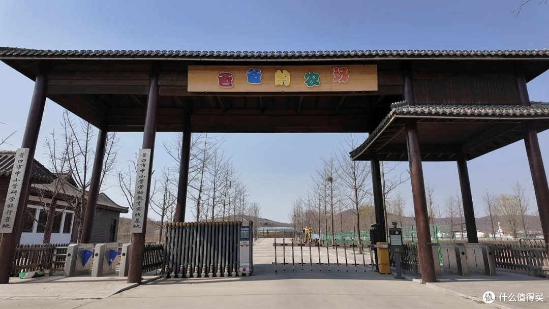 周末带娃去摘瓜，结果我比孩子玩得还开心