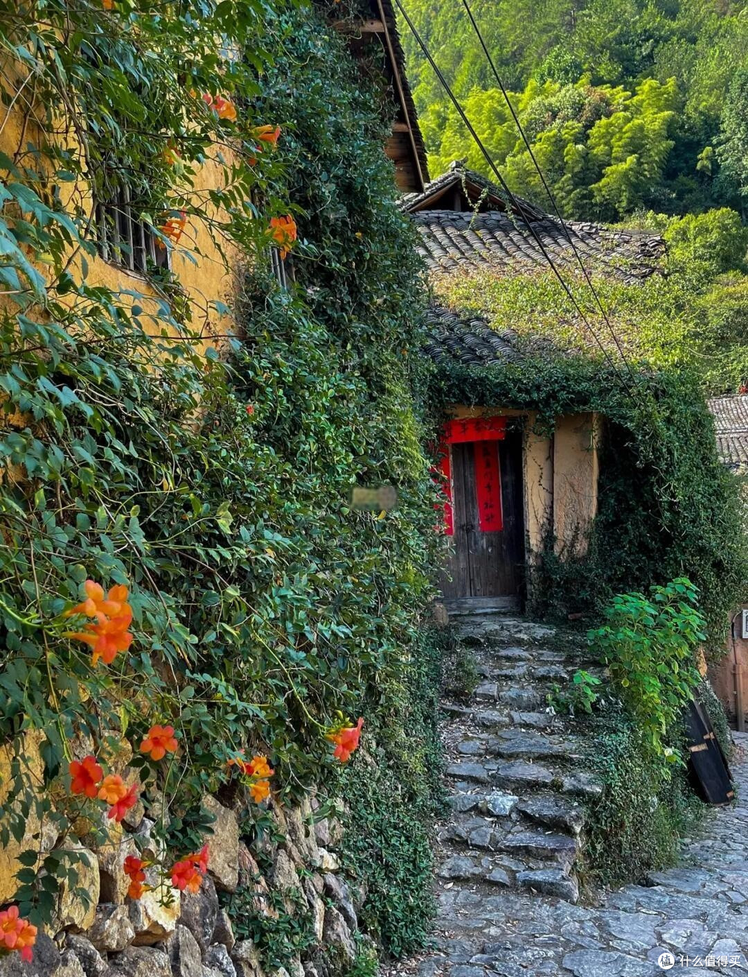 五一误入秘境:松阳杨家堂,藏在深山的金色古村