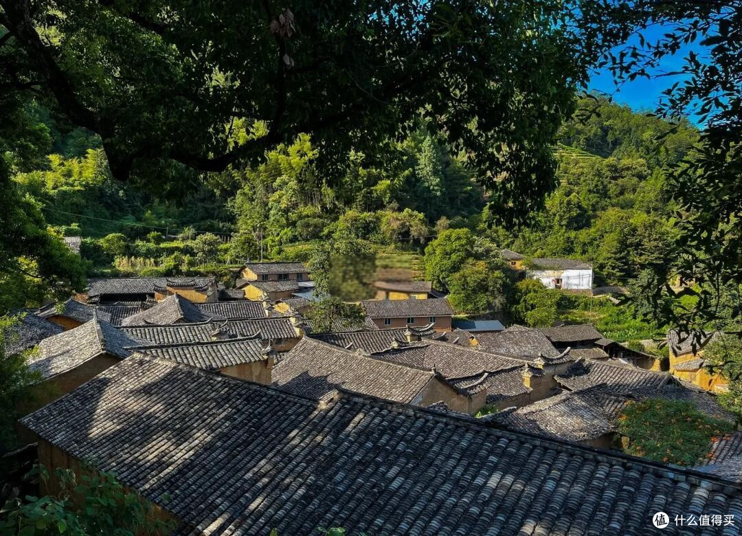 五一误入秘境:松阳杨家堂,藏在深山的金色古村
