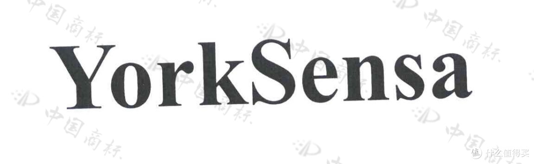 YorKSensa携手温州显光光电:以光学硬科技重构科学仪器新标准
