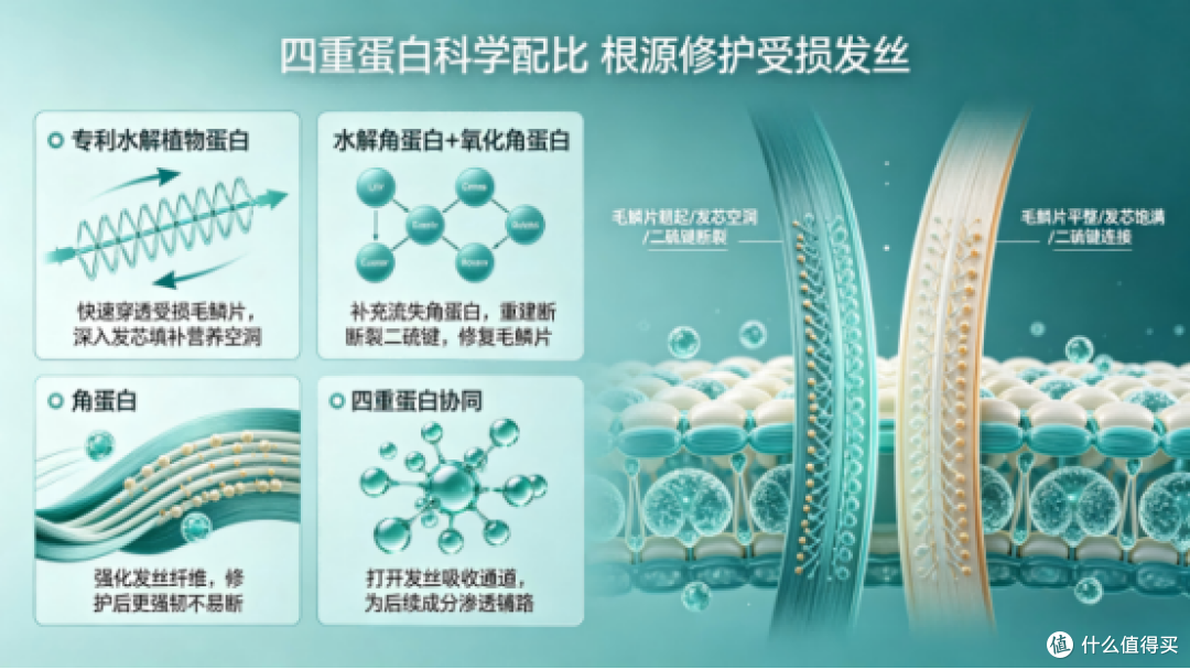 什么牌子发膜口碑好?我的断发自救日记,实测好用发膜