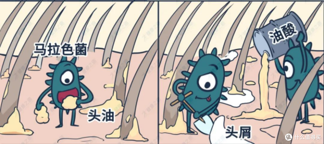 求去屑止痒洗发水推荐?熬夜三年亲测分享:真正有效的去屑洗发水