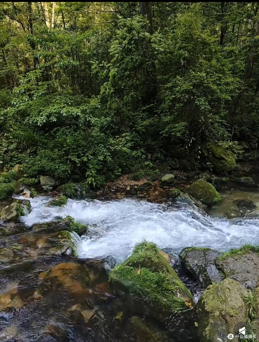 张家界溪水治愈五一假期