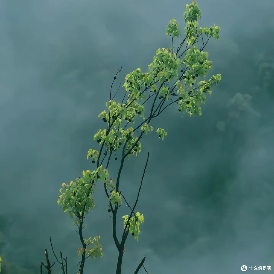 玩摄影 6 年从入门小白到自由拍摄,我的成长,新手避坑选购指南