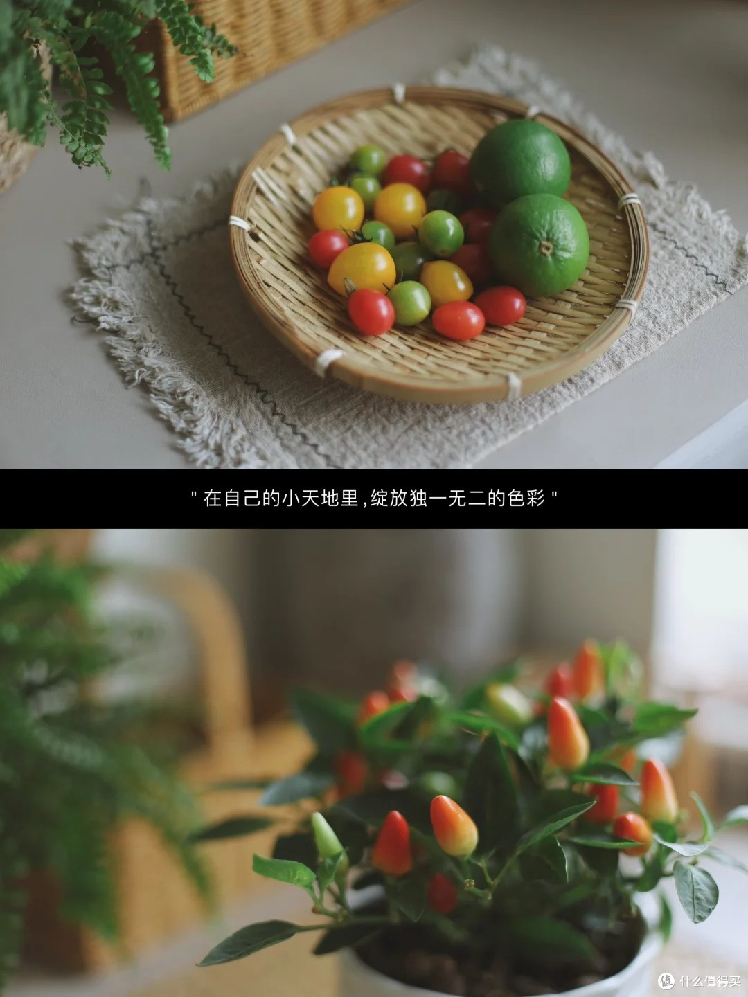玩摄影 6 年从入门小白到自由拍摄,我的成长,新手避坑选购指南