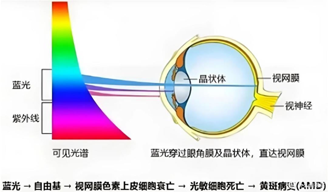 看世界杯怕伤眼?护眼电视首选海信小墨E5S Pro,全程守护视力健康