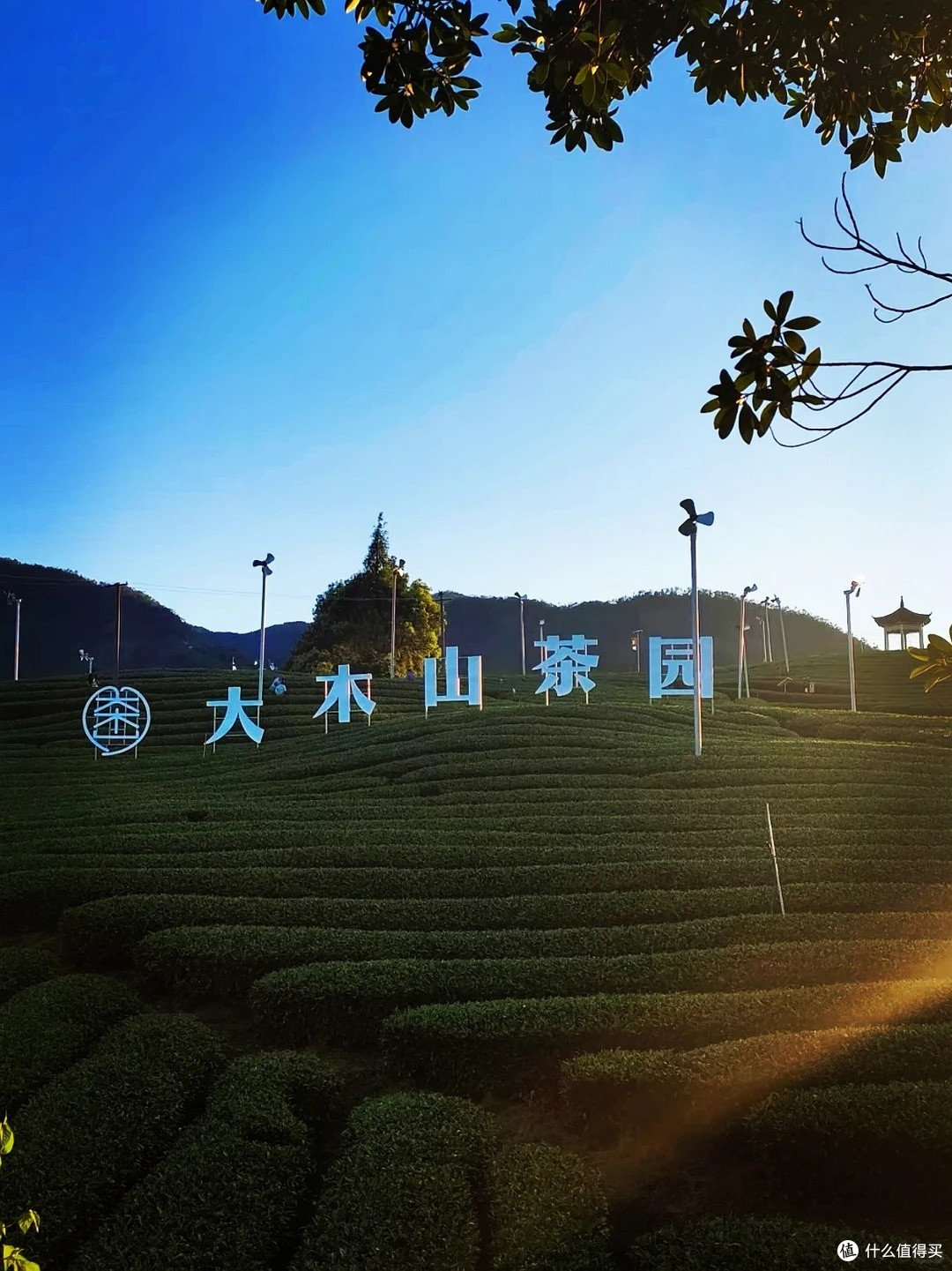 五一江南反向旅游全攻略,松阳秘境人少景美