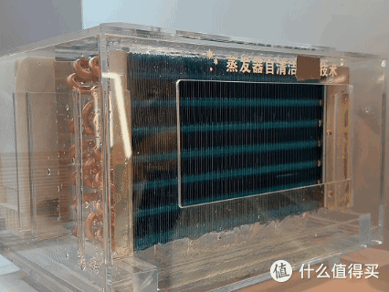 本色健康筒究竟是什么,小天鹅本色2026洗烘套装实测分享