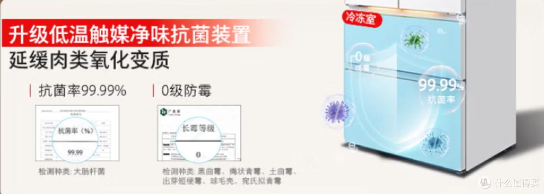 爆款东芝大白梨528冰箱究竟如何,能否成为中小户型福音