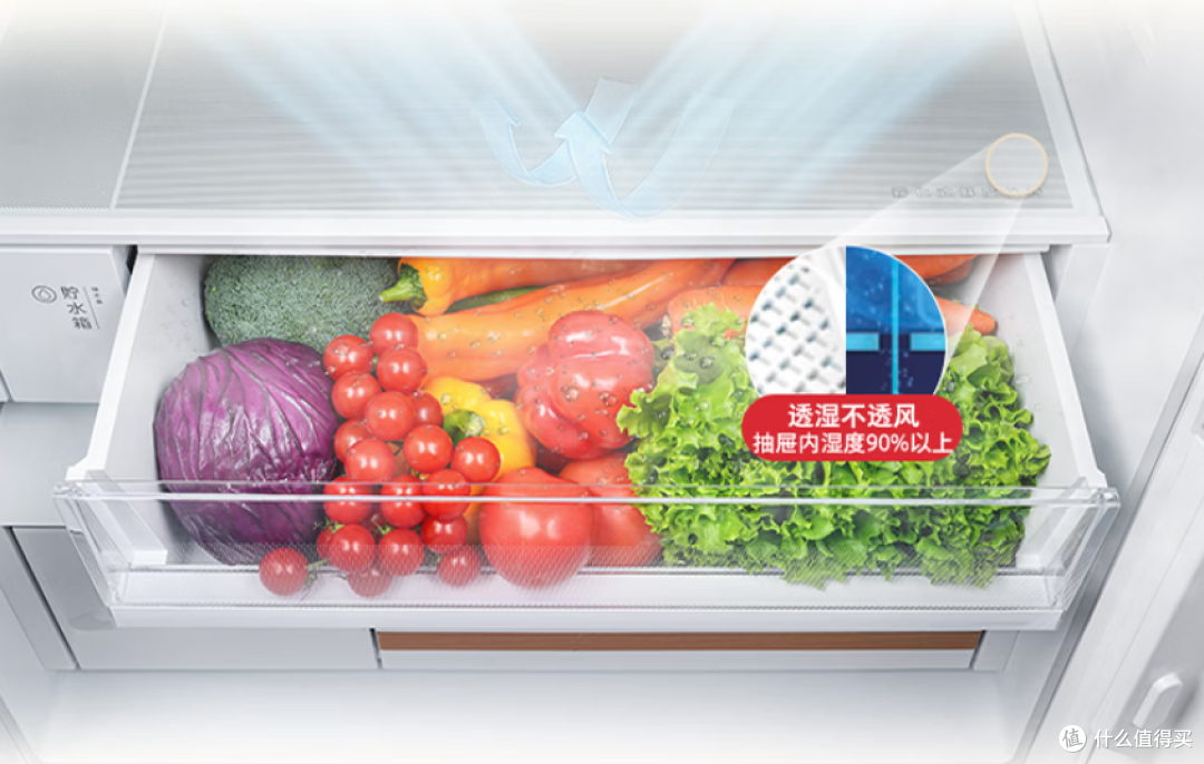 爆款东芝大白梨528冰箱究竟如何,能否成为中小户型福音