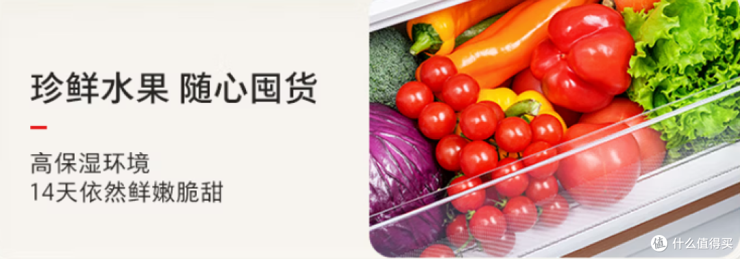 爆款东芝大白梨528冰箱究竟如何,能否成为中小户型福音