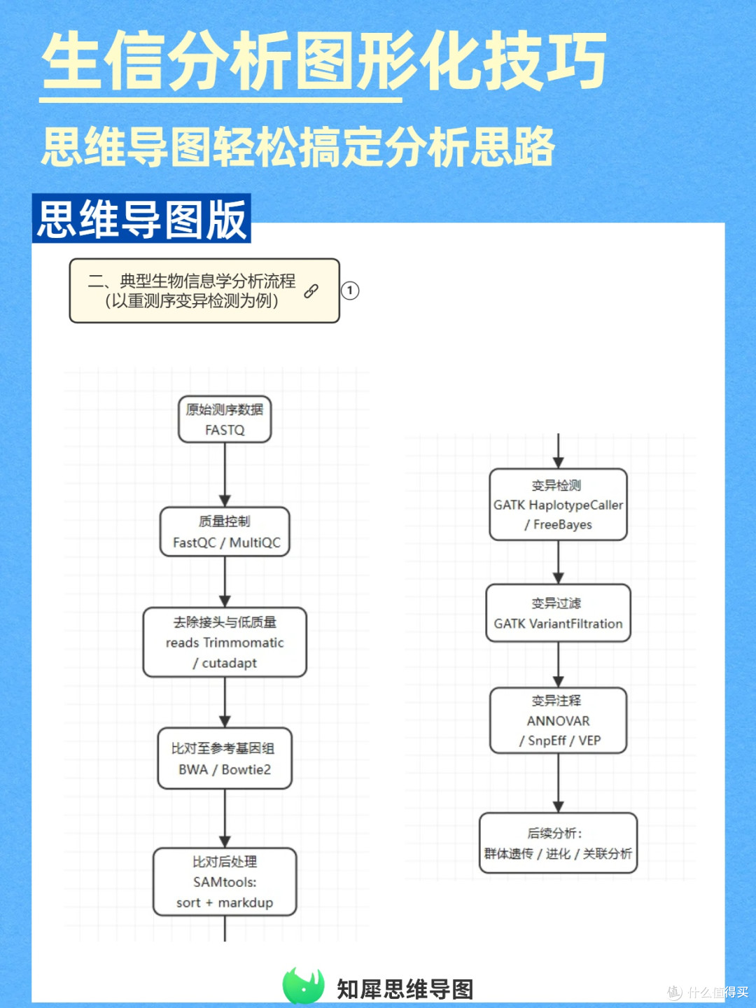 提升效率!生物信息学分析用思维导图图形化呈现思路